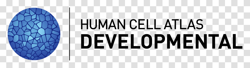 Human Cell, Gray, World Of Warcraft Transparent Png