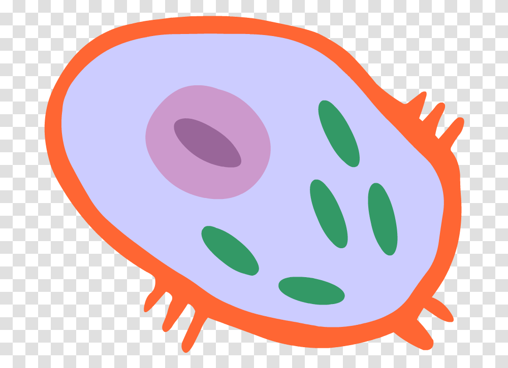 Human Cell Human Cell Clipart, Food, Egg, Easter Egg Transparent Png
