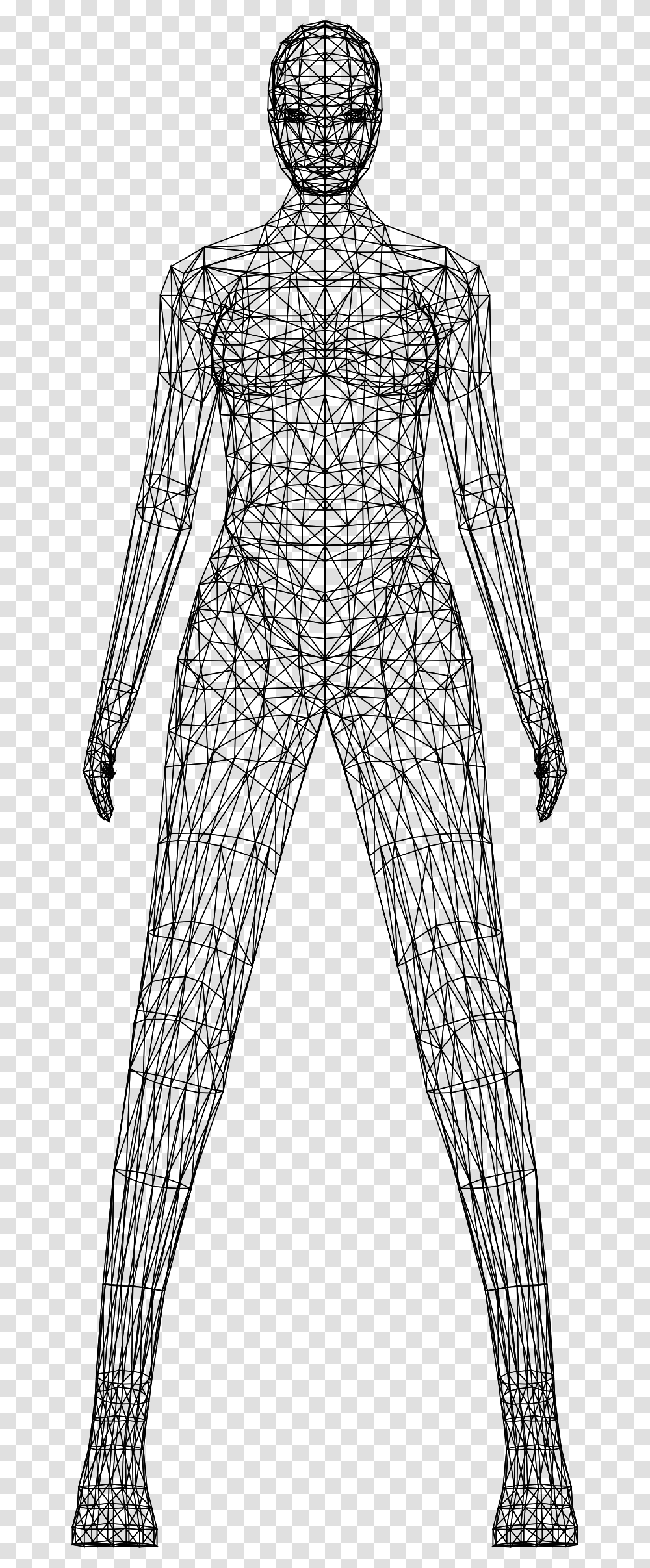 Human Clipart Wireframe Female Body Low Poly Wireframe, Gray Transparent Png