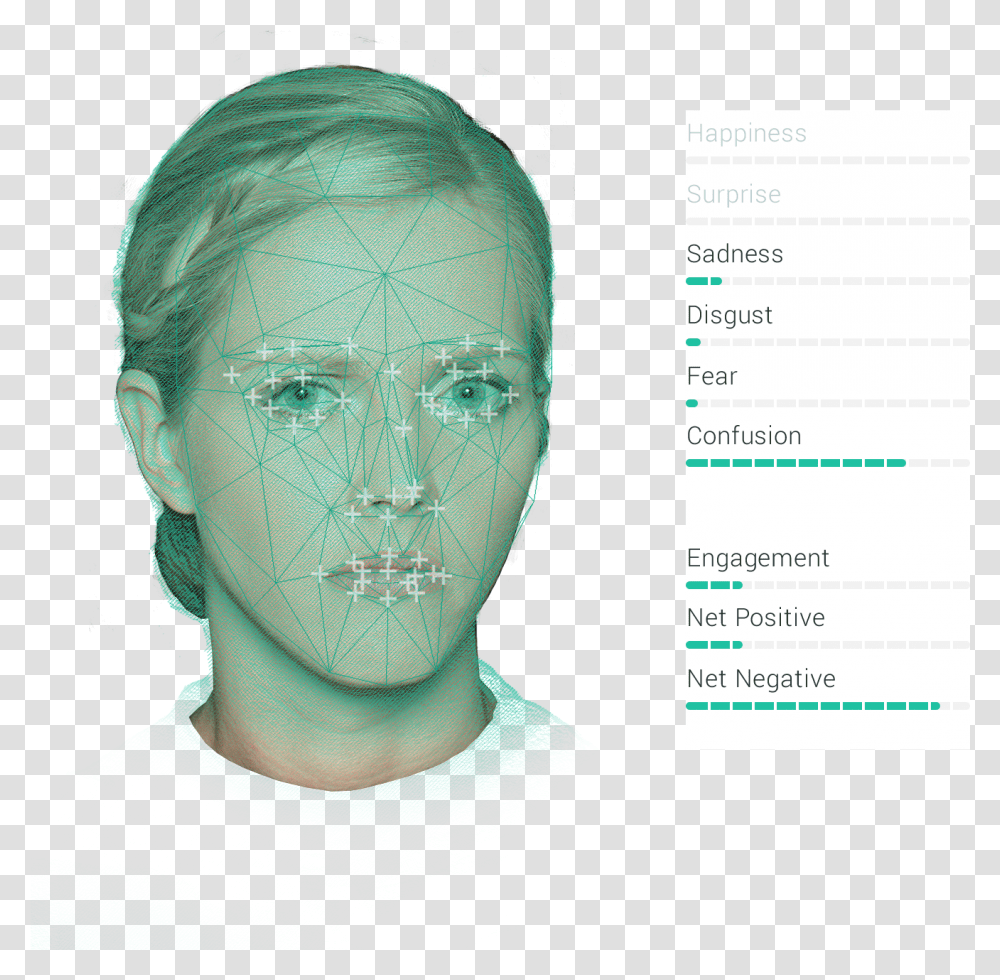 Human, Person, Head, Face Transparent Png