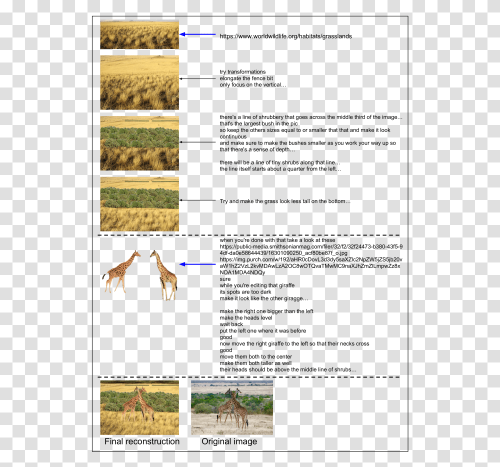 Human Compression Process For The Giraffe Image Giraffe, Mammal, Animal, Apparel Transparent Png