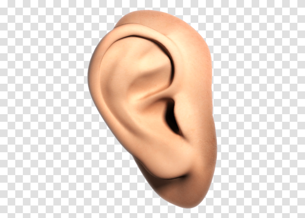 Human Ear Background, Person Transparent Png