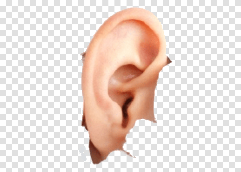 Human Ear Image For Free Download Does Hyperacusis Look Like, Person Transparent Png