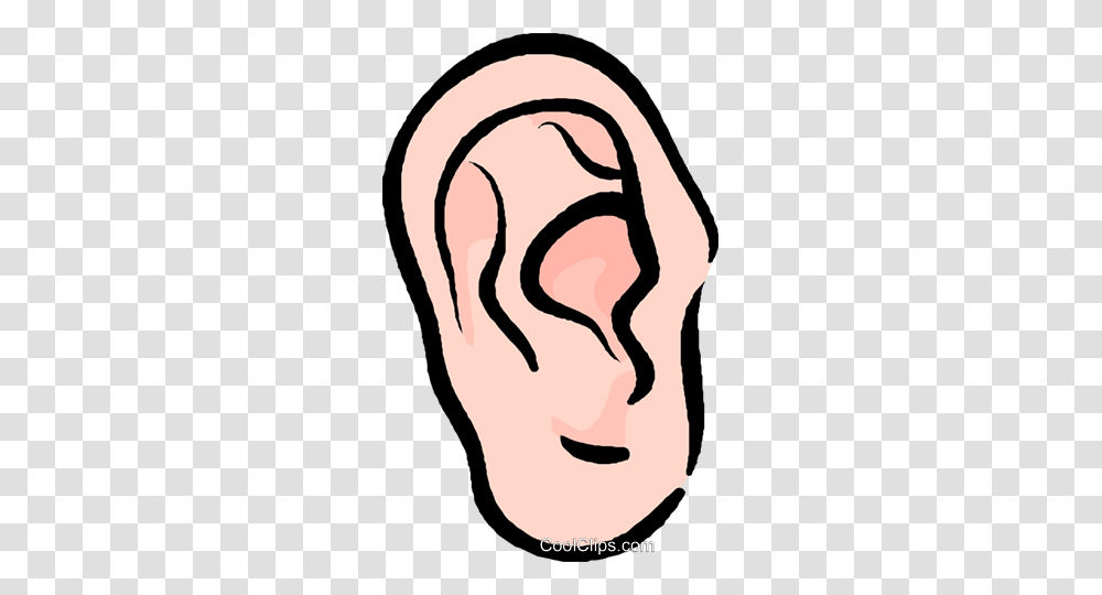 Human Ear Royalty Free Vector Clip Art Illustration Transparent Png