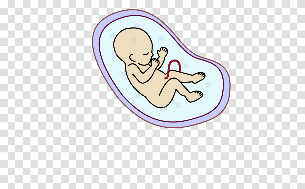 Human Embryo Clipart, Sleeping, Asleep, Leisure Activities, Baby Transparent Png