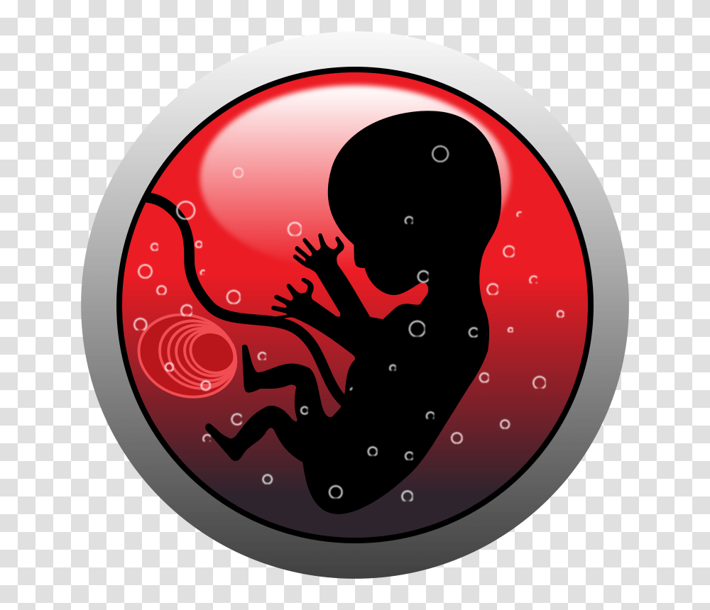 Human Embryo Silhouette, Ball, Bowling, Sport, Sports Transparent Png