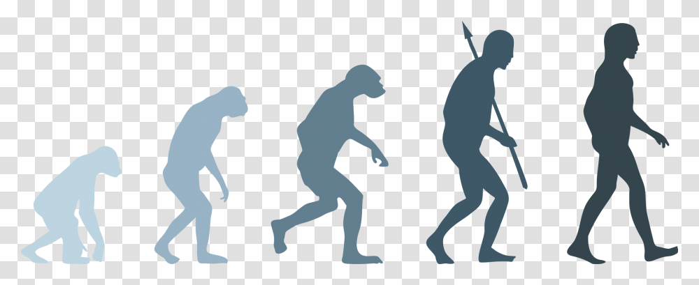 Human Evolution Evolution Of Man, Person, Silhouette, People, Animal Transparent Png