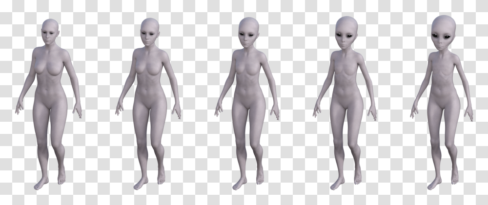 Human Evolution In Different Figures Human Evolving, Mannequin, Person, Alien, Torso Transparent Png