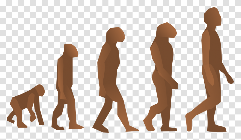 Human Evolution Neanderthal Homo Sapiens Biology, Person, Word, Standing Transparent Png