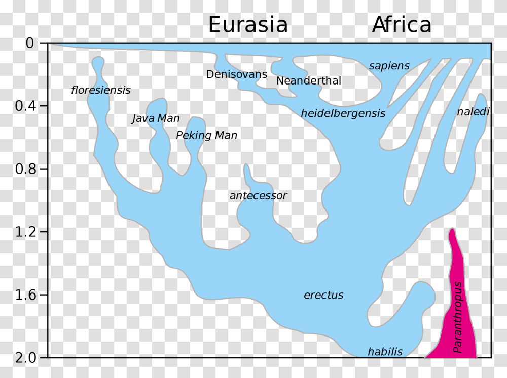 Human Evolution, Plot, Map, Diagram, Atlas Transparent Png