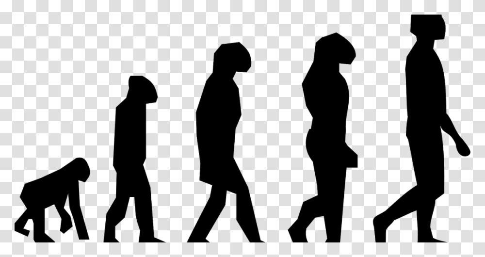 Human Evolution Silhouette, Gray, World Of Warcraft Transparent Png