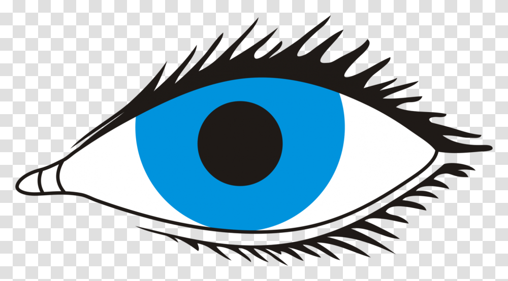Human Eye Visual Perception Eyelash Iris, Outdoors, Nature Transparent Png