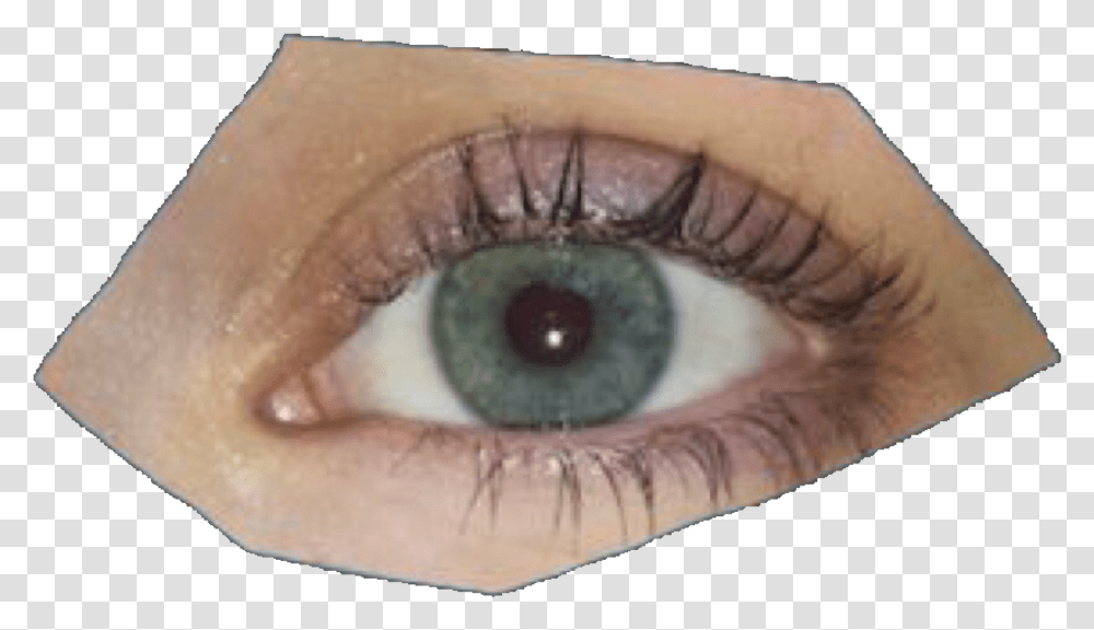 Human Eyes, Contact Lens, Skin Transparent Png