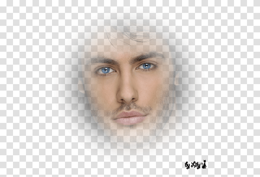 Human, Face, Person, Beard, Portrait Transparent Png