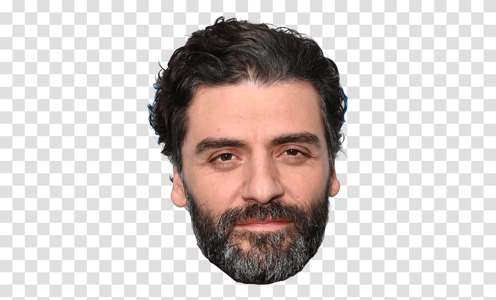 Human, Face, Person, Beard, Portrait Transparent Png