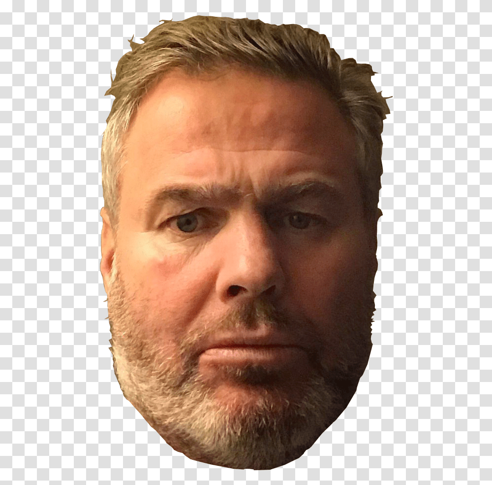 Human, Face, Person, Head, Beard Transparent Png