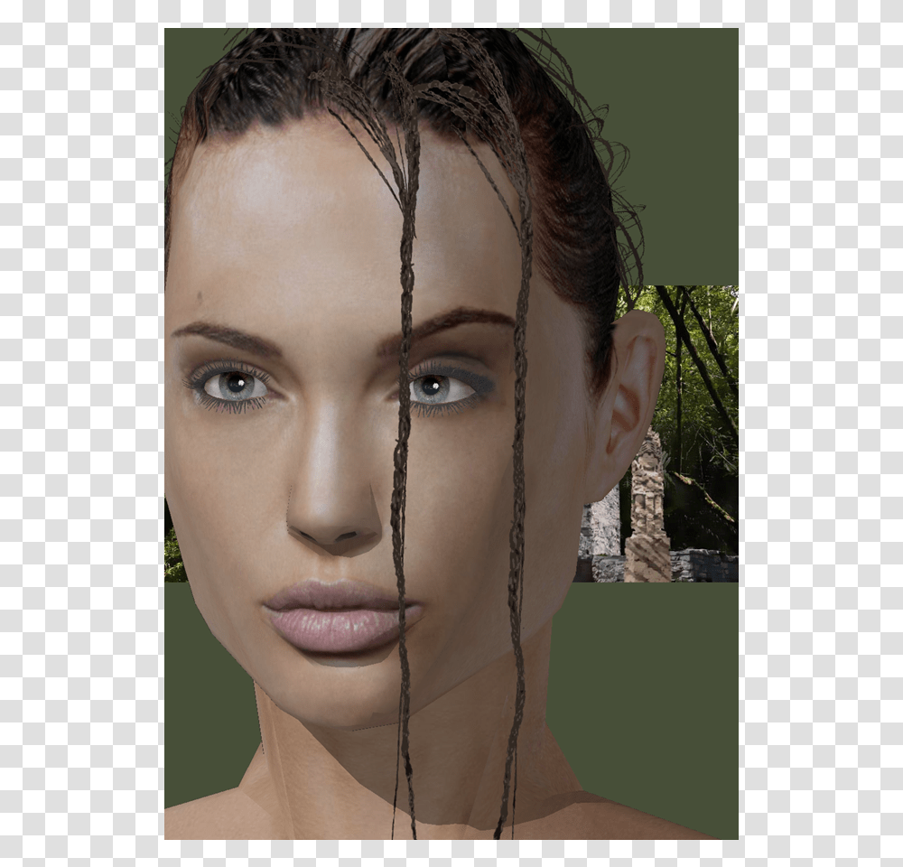 Human, Face, Person, Head, Portrait Transparent Png