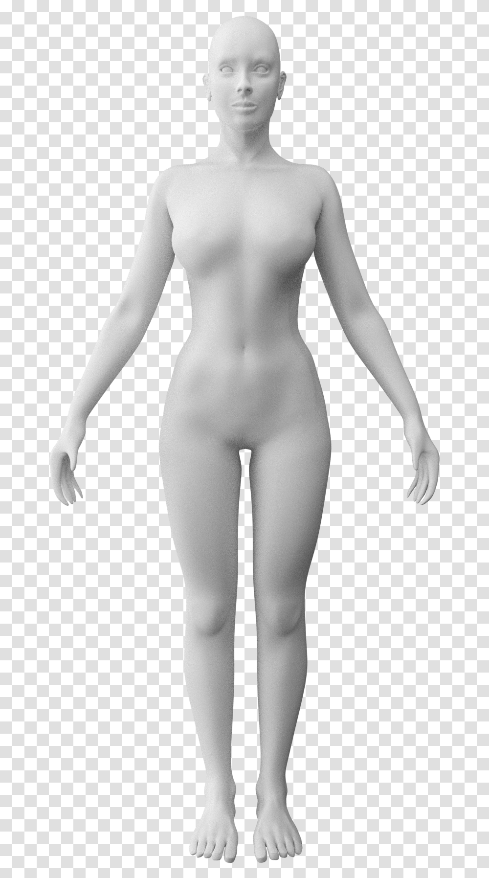 Human Female Anim Standing, Mannequin, Person, Torso Transparent Png