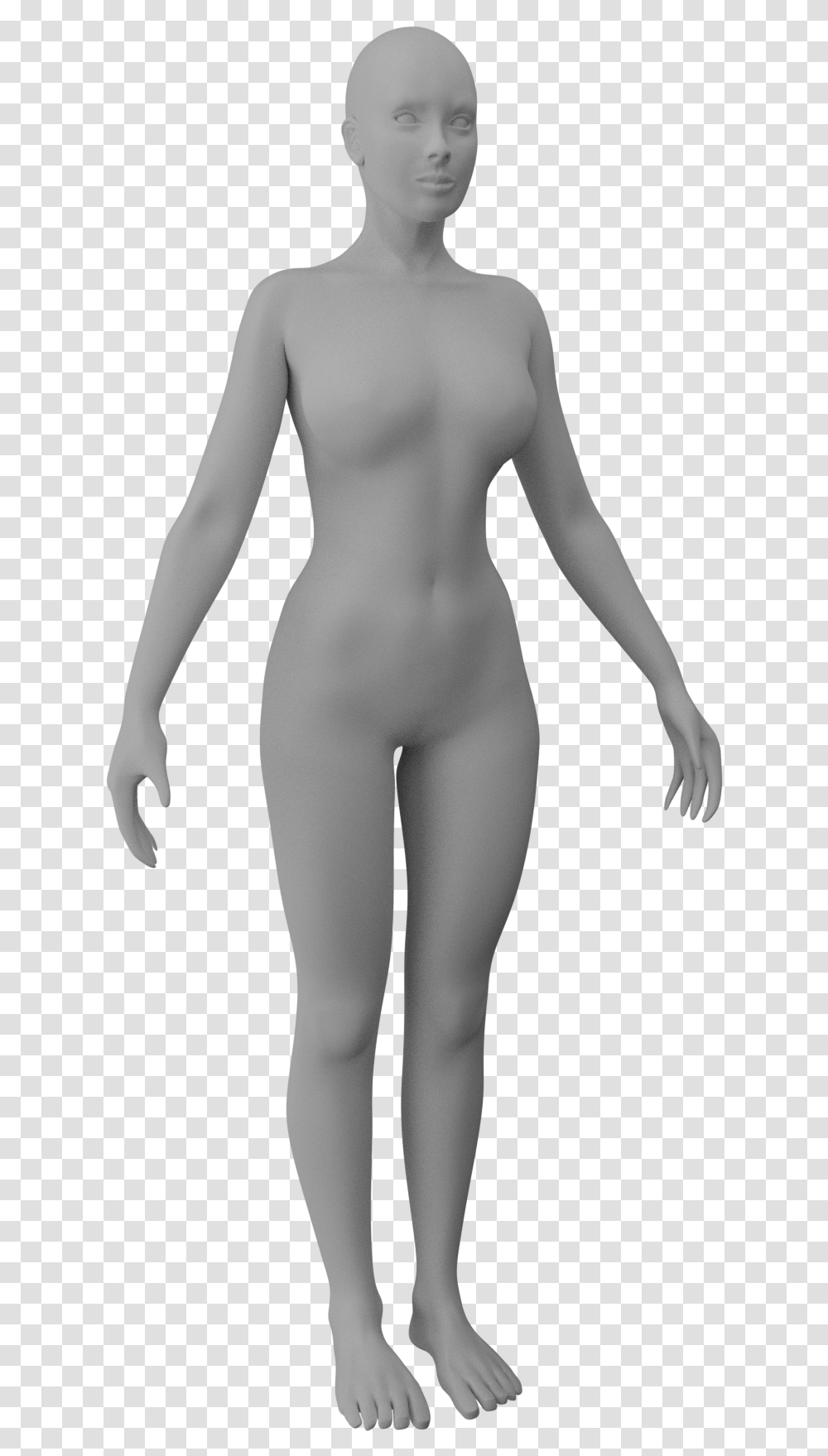 Human Female Standing, Mannequin, Person, Torso Transparent Png