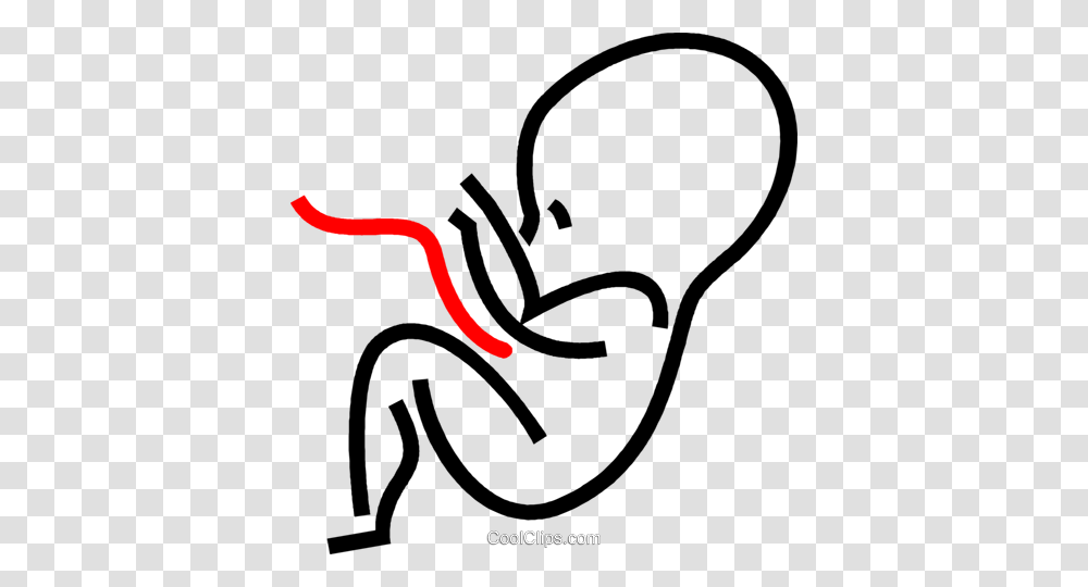 Human Fetus Royalty Free Vector Clip Art Illustration, Dynamite, Weapon, Weaponry Transparent Png