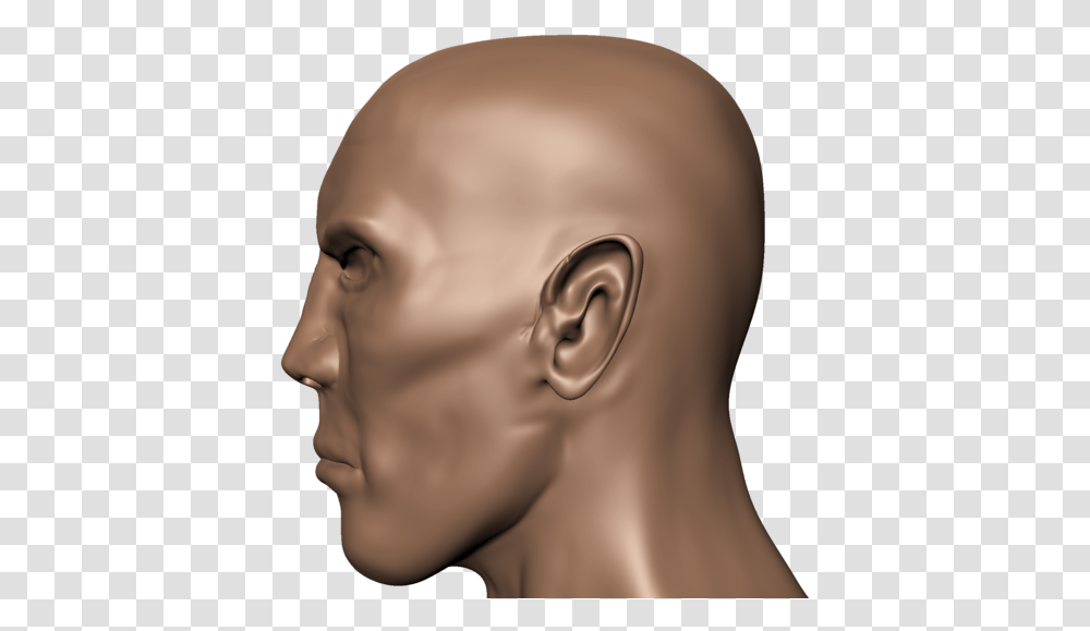 Human Head Face Human Body Skull Head Side View Hd, Person, Skin, Neck, Ear Transparent Png