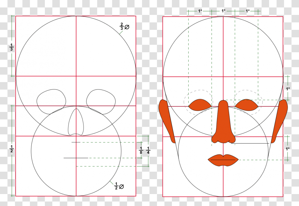 Human Head Size, Pattern, Plot, Diagram, Ornament Transparent Png