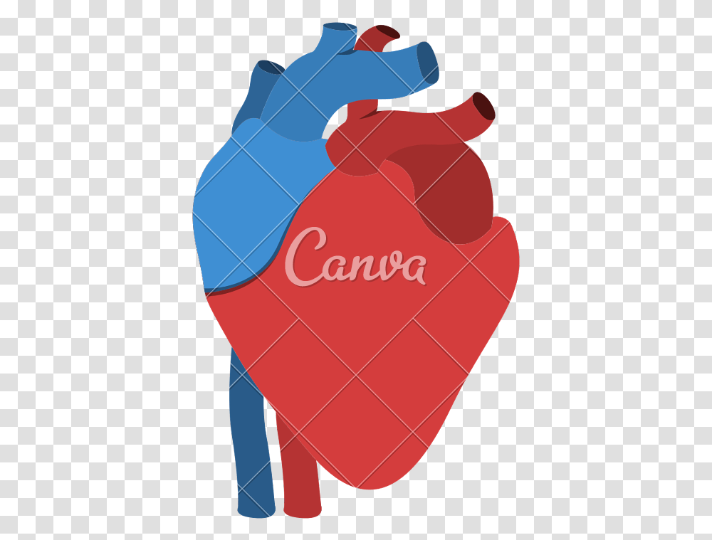 Human Heart Anatomy Isolated Icon Design, Label Transparent Png