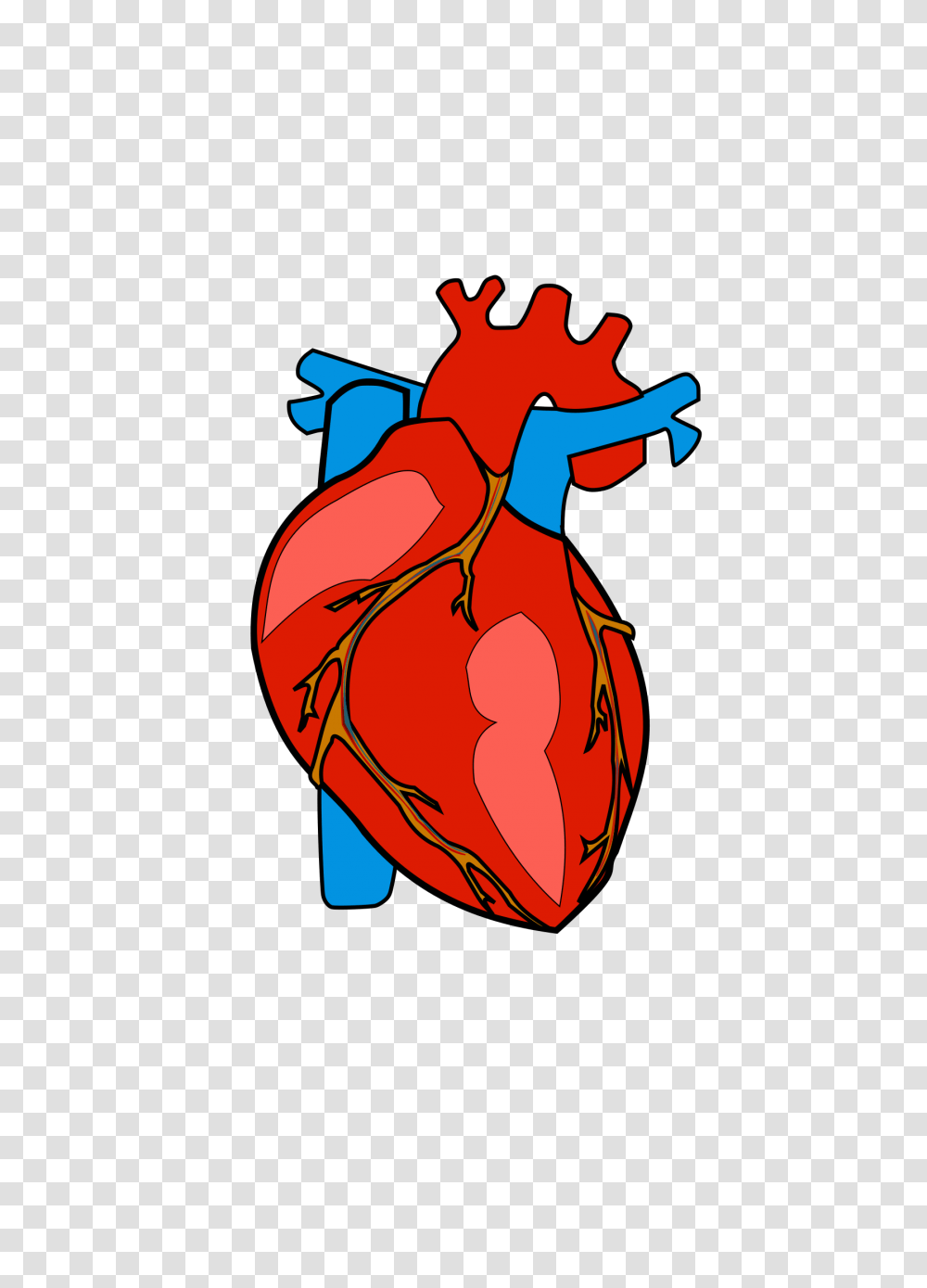 Human Heart Clip Art, Animal, Bird, Fowl, Poultry Transparent Png