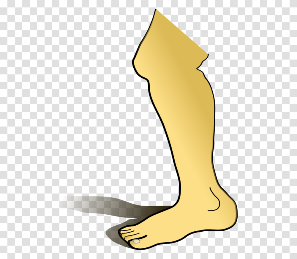 Human Heart Clip Art, Ankle, Heel, Apparel Transparent Png