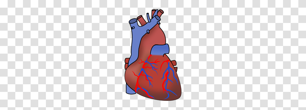 Human Heart Clip Art For Web, Plot, Diagram, Hand, Shoulder Transparent Png