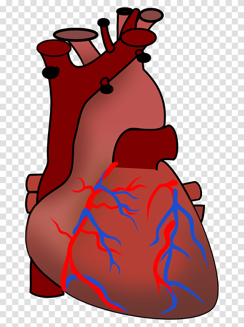 Human Heart Clipart Animals Including Humans Year, Hand, Bag, Leisure Activities Transparent Png