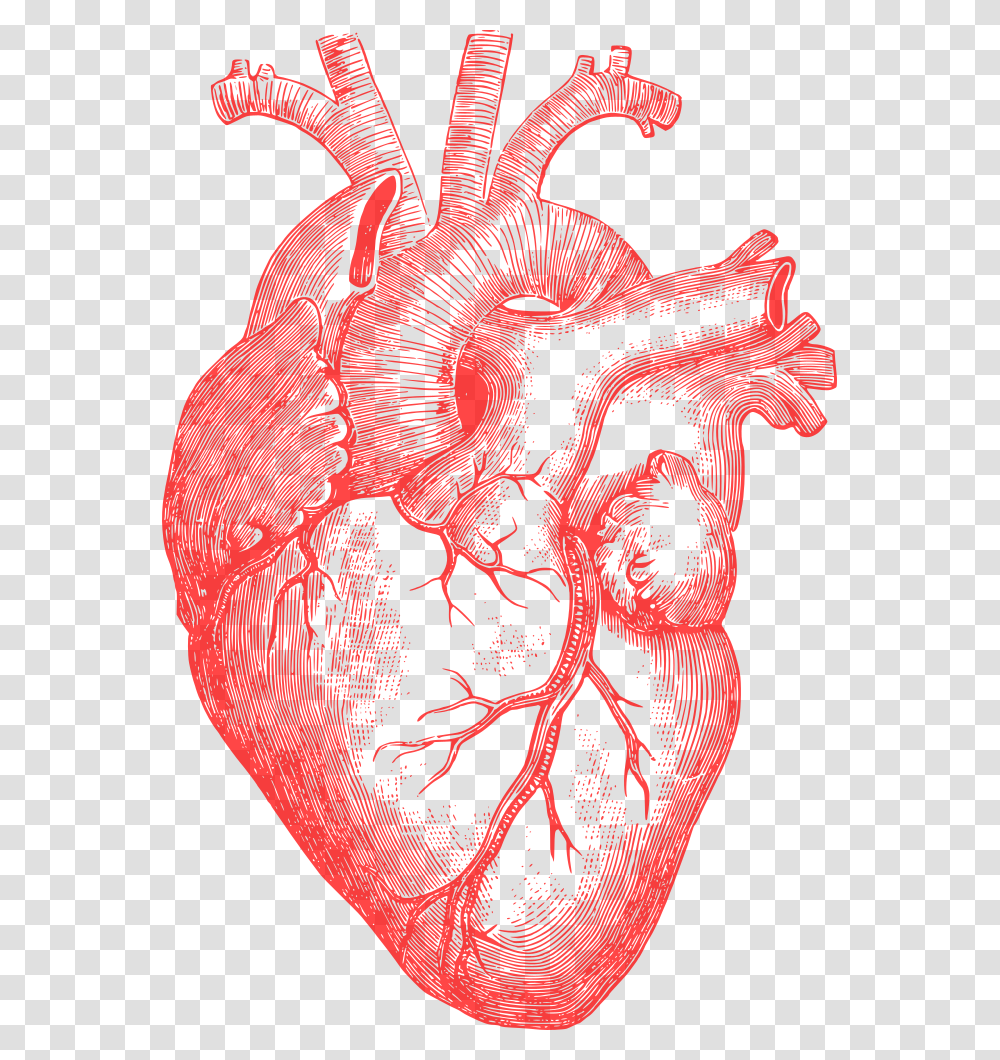 Human Heart Drawings In Pencil, Ornament, Modern Art, Pattern, Fractal Transparent Png
