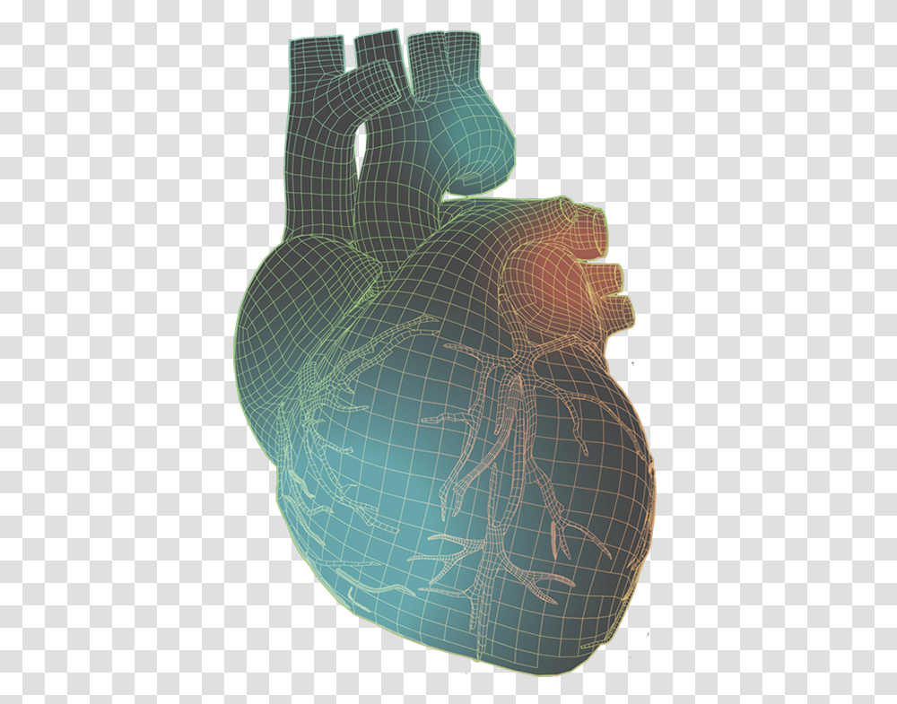 Human Heart Human Heart With Colorful Wireframe Pottery, Plot, X-Ray, Ct Scan, Medical Imaging X-Ray Film Transparent Png
