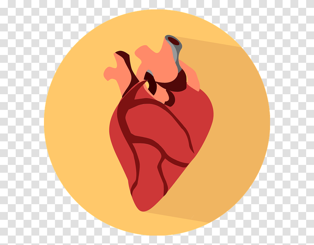 Human Heart Icon, Food, Plant, Animal, Vegetable Transparent Png
