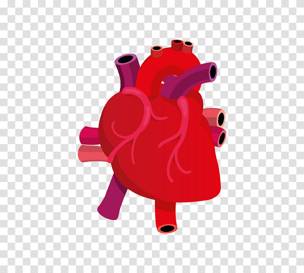 Human Heart, Leisure Activities, Dance, Weapon, Plant Transparent Png