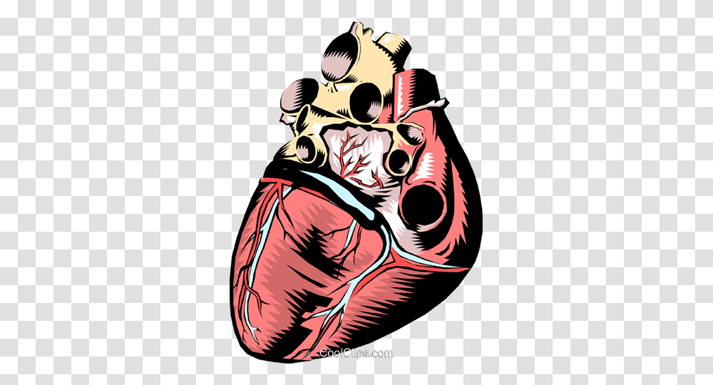Human Heart Royalty Free Vector Clip Art Illustration, Person, Leisure Activities, Performer, Bullfighter Transparent Png