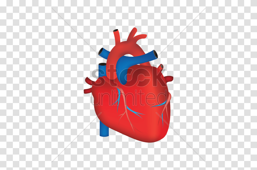 Human Heart Vector Image, Dynamite, Weapon, Bow, Bag Transparent Png