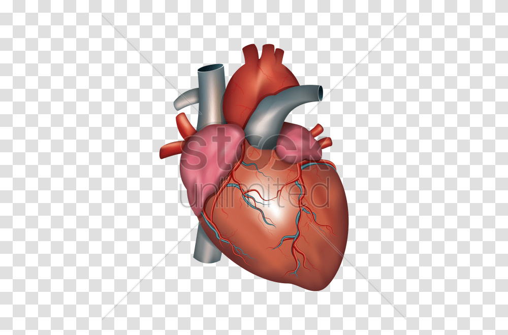 Human Heart Vector Image, Weapon, Duel, Steamer, Blade Transparent Png