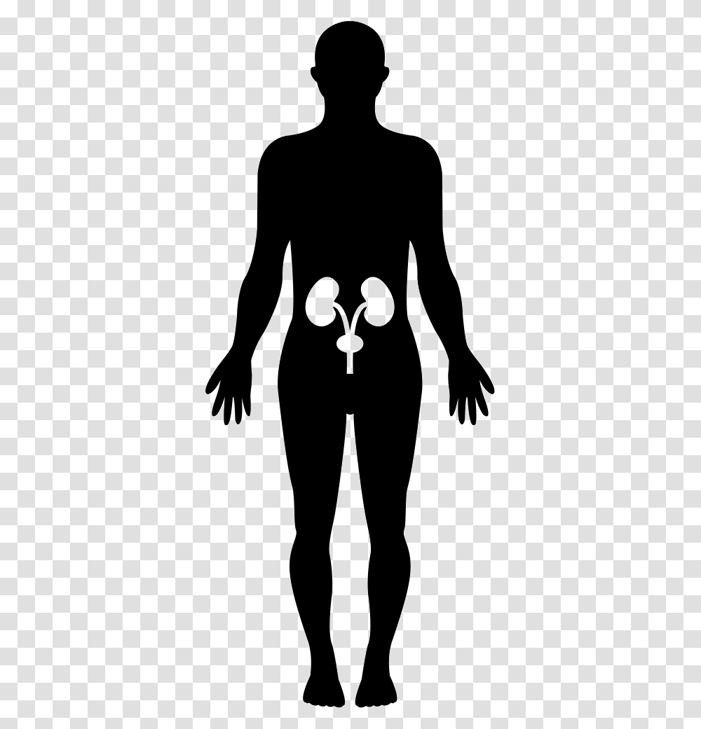 Human Hips Bones Inside A Standing Male Body Black Silueta De Un Ser Humano, Stencil, Person, Stain, Silhouette Transparent Png