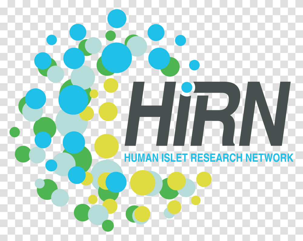 Human Islet Research Network, Paper, Confetti, Flyer Transparent Png