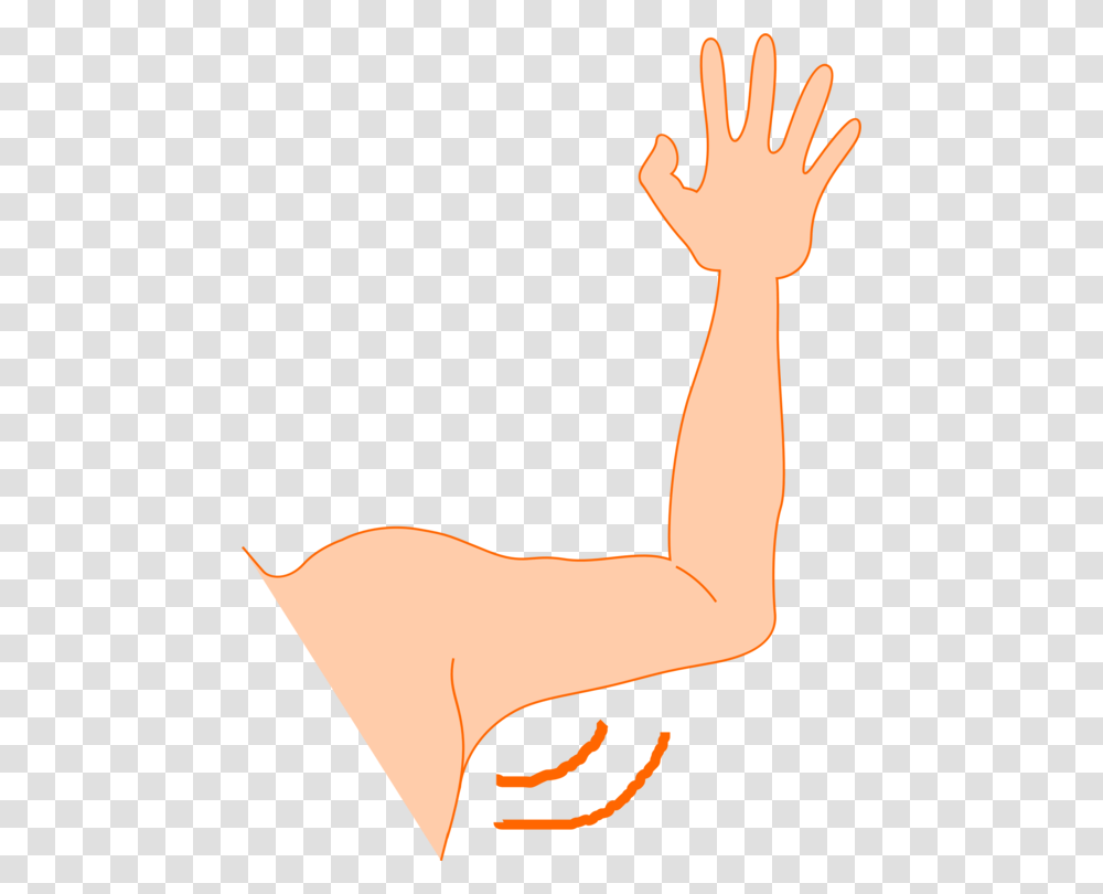 Human Leganglethumb Left Arm Clipart, Hand, Finger Transparent Png