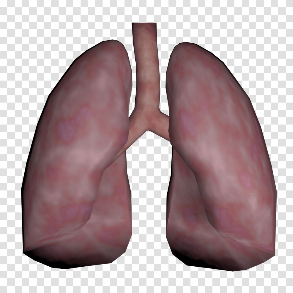 Human Lungs, Person, Finger, Heel, Hand Transparent Png