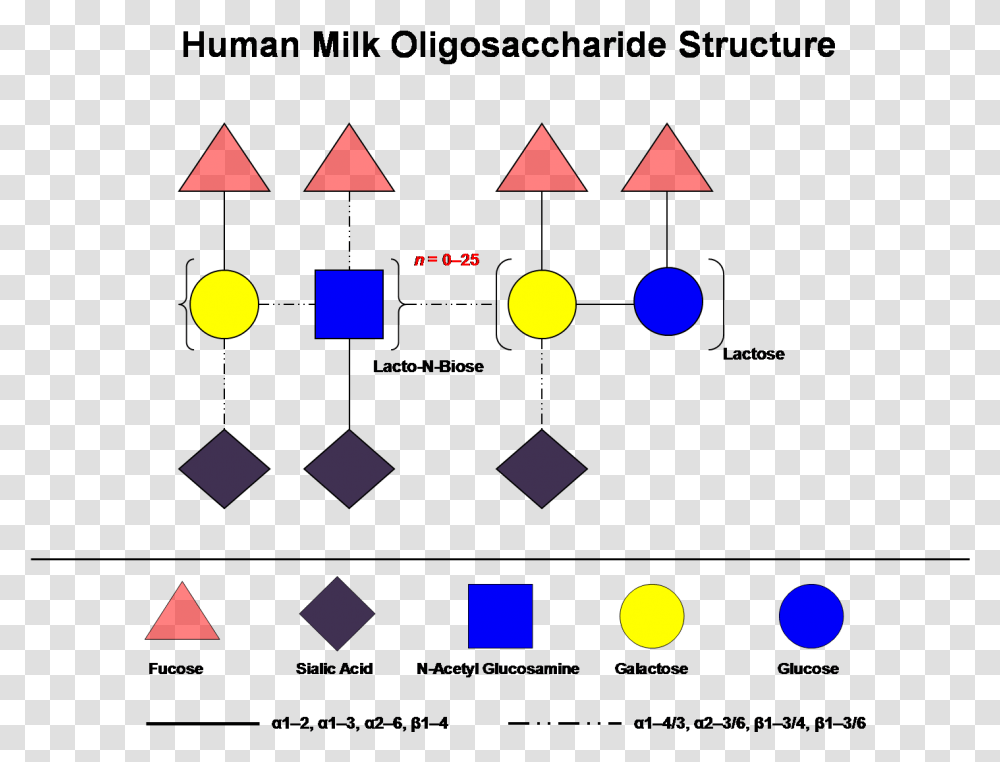 Human Milk Oligosaccharides Structure, Lighting, Scoreboard, Triangle Transparent Png