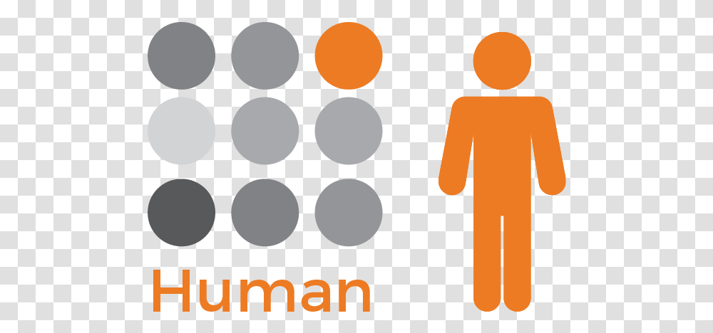 Human Orange, Light, Traffic Light, Sign Transparent Png