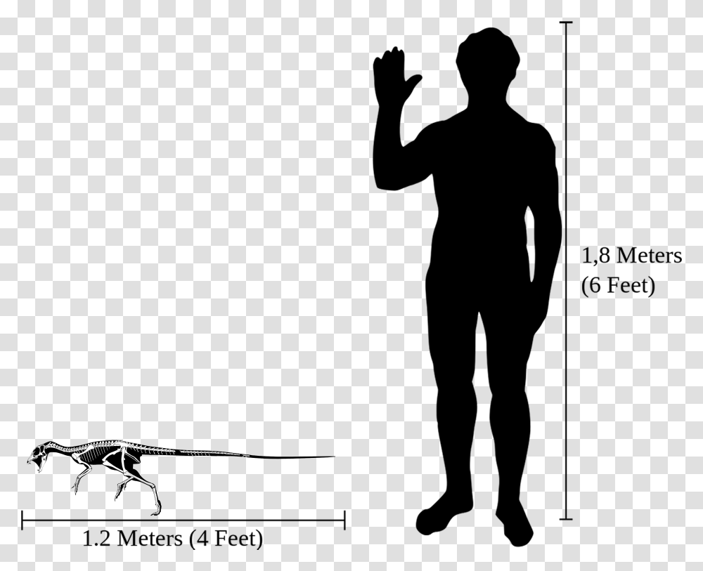 Human Outline Dunkleosteus Compared To Human, Outdoors, Nature, Crowd, Sport Transparent Png
