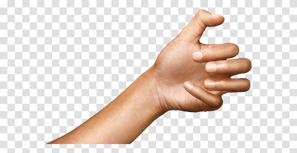 Human, Person, Hand, Wrist, Finger Transparent Png