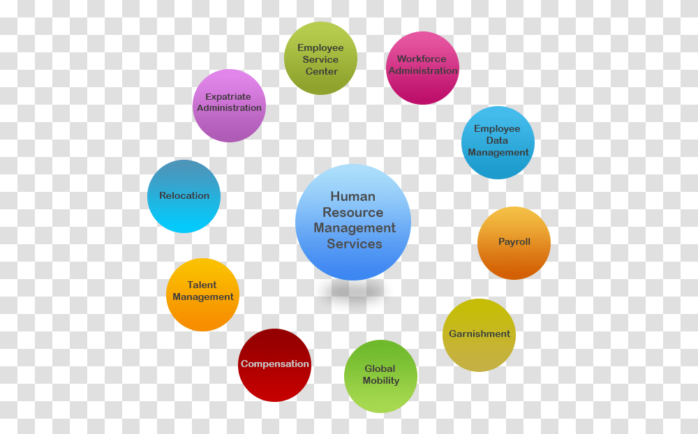 Human Resource Management Life Cycle, Paint Container, Palette, Diagram Transparent Png