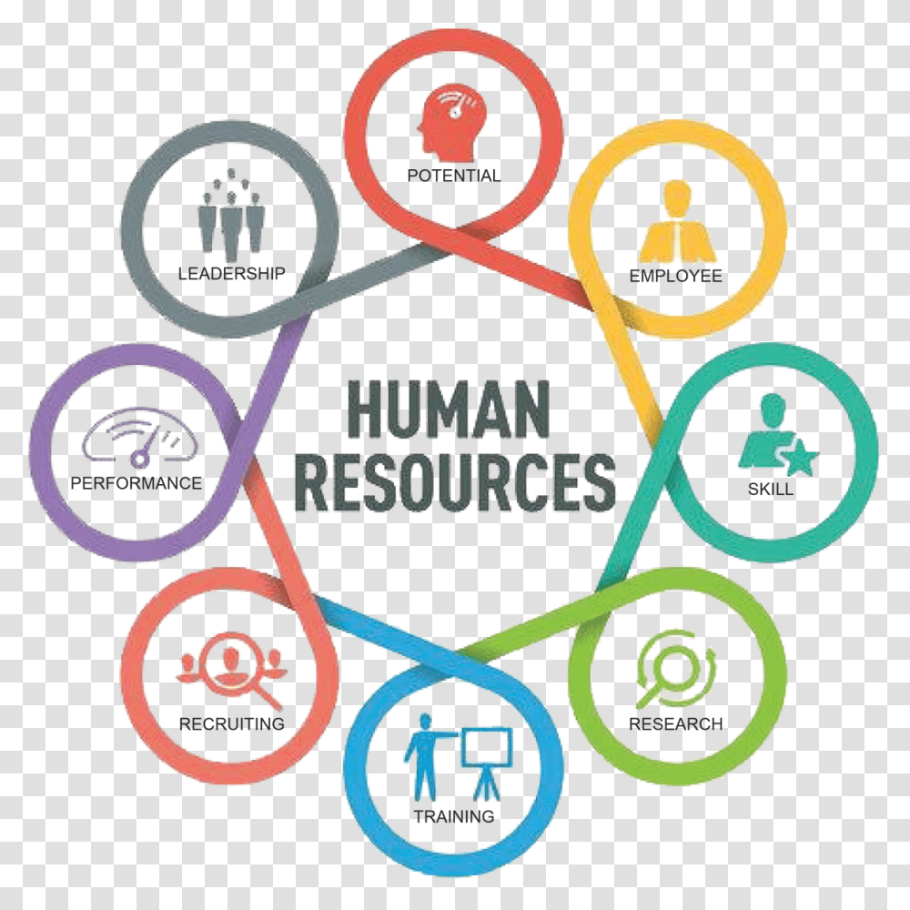 Human Resources Human Resources, Logo, Trademark Transparent Png