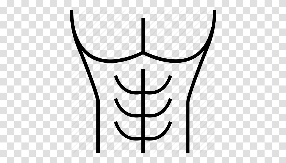 Human Ribs Radiology Radioscopy Rib Cage Ribs Thoracic Cage, Plant, Sphere, Prison Transparent Png