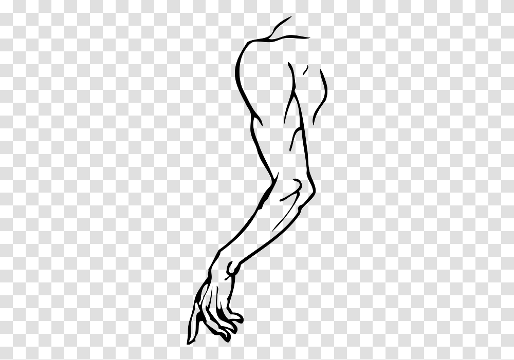 Human Silhouette At Getdrawings Human Body Left Hand, Gray, World Of Warcraft Transparent Png